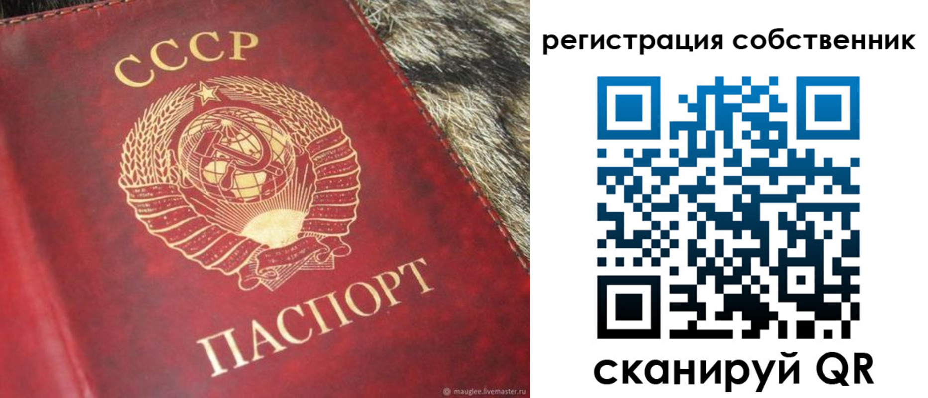 временная регистрация надежно в Цимлянске